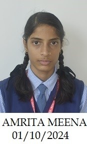 AMRITA MEENA Photo